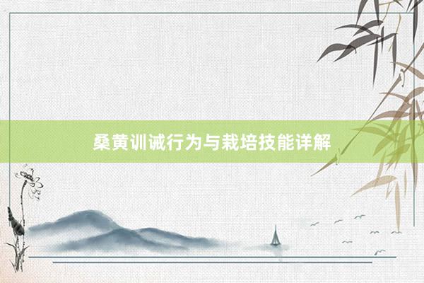 桑黄训诫行为与栽培技能详解