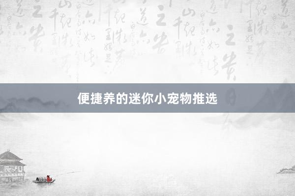 便捷养的迷你小宠物推选