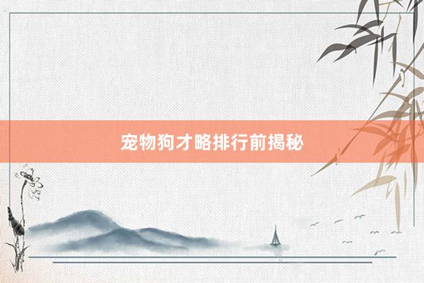 宠物狗才略排行前揭秘