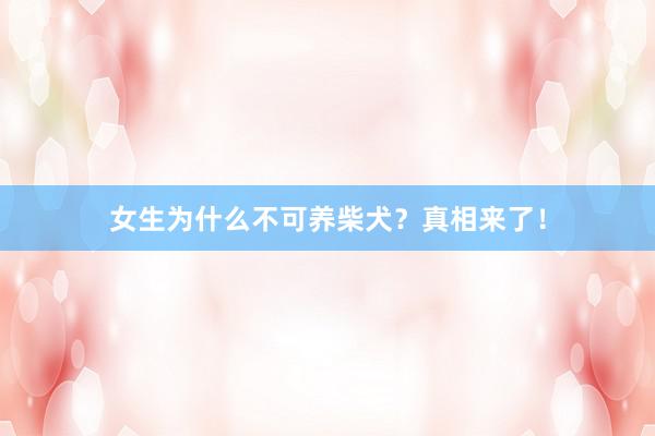 女生为什么不可养柴犬？真相来了！